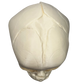 View of full-term fetal skull model from the top includes well-defined suture lines for prenatal education purposes